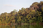 Lake Salvador, the largest oxbow lake in the lower Manu River